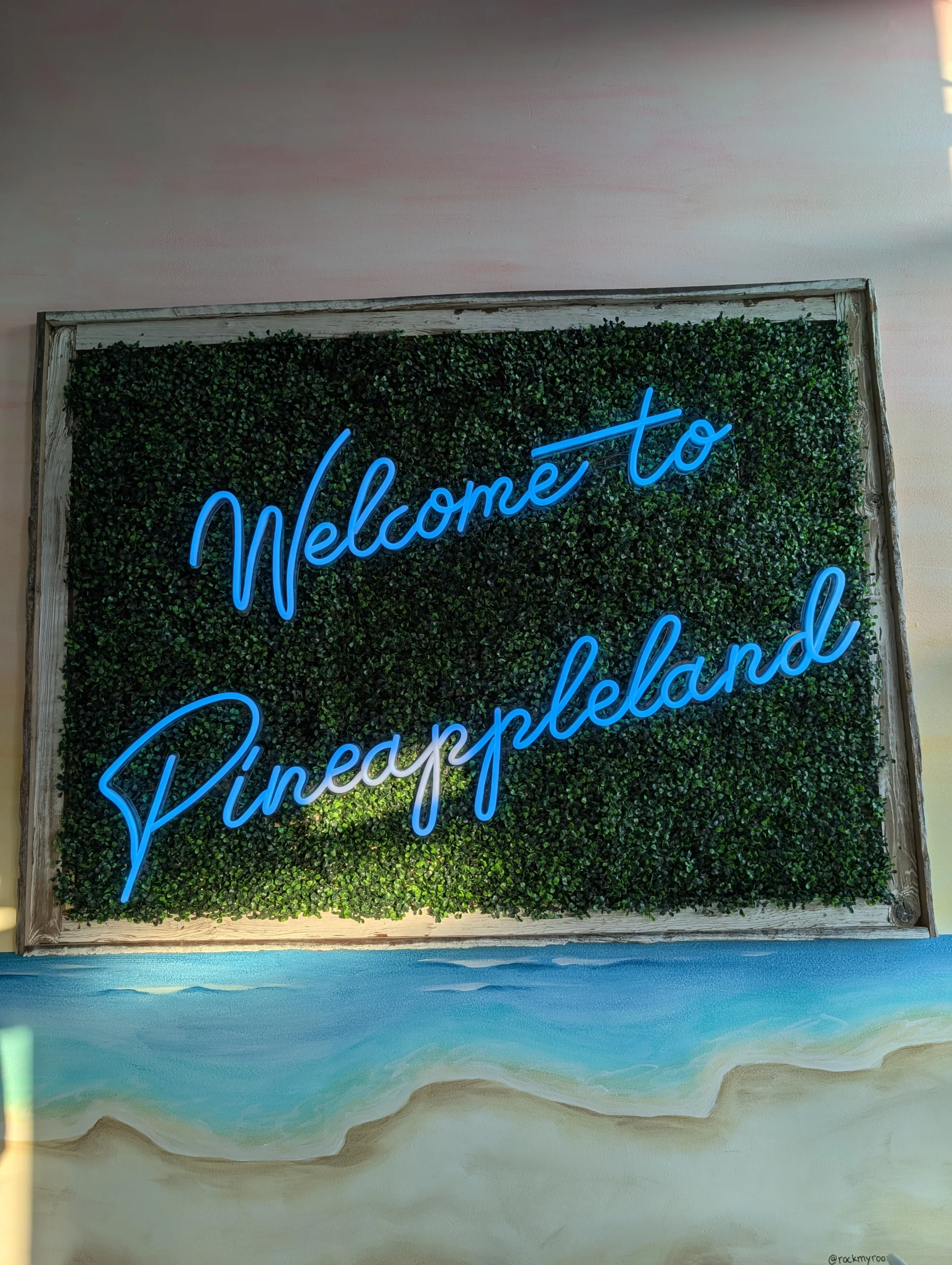 2026 Fast & Serious Winners: No. 7 Playa Bowls